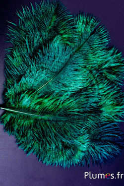 Struzzo Bellies - 8-13 cm - smeraldo